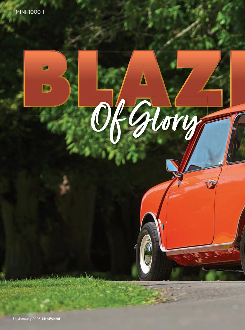 Mini World Preview Pages