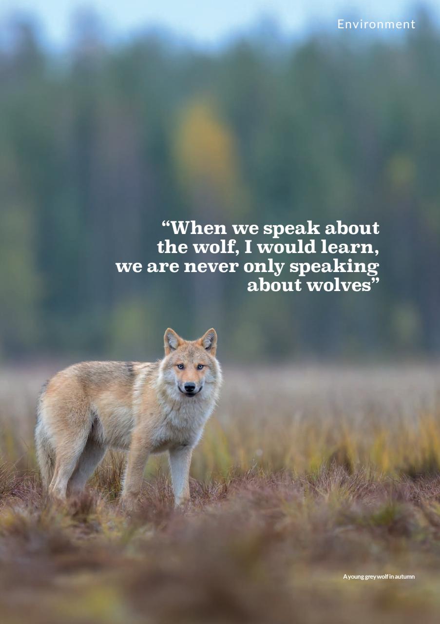 TGO - The Great Outdoors Magazine Preview Pages