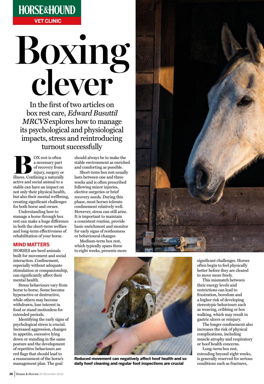 Horse & Hound Preview Pages