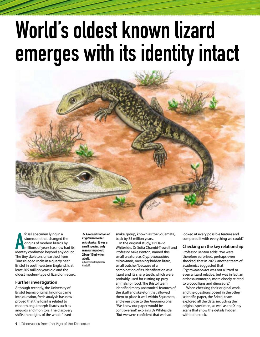 Practical Reptile Keeping Preview Pages