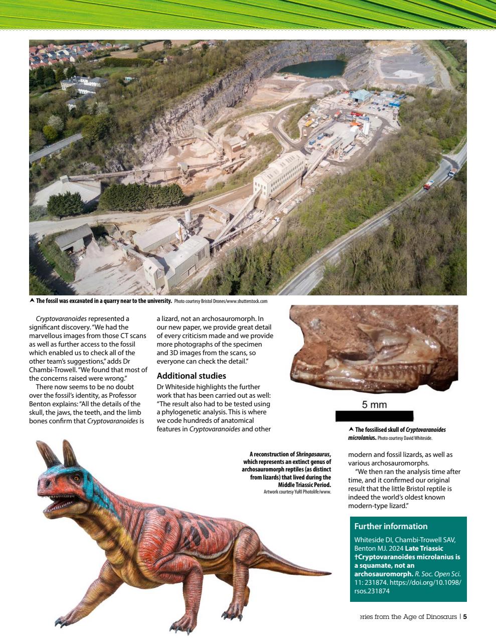 Practical Reptile Keeping Preview Pages
