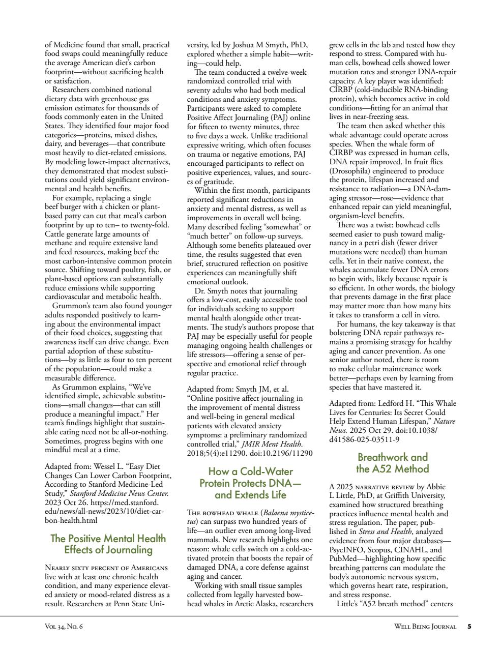 Well Being Journal Preview Pages