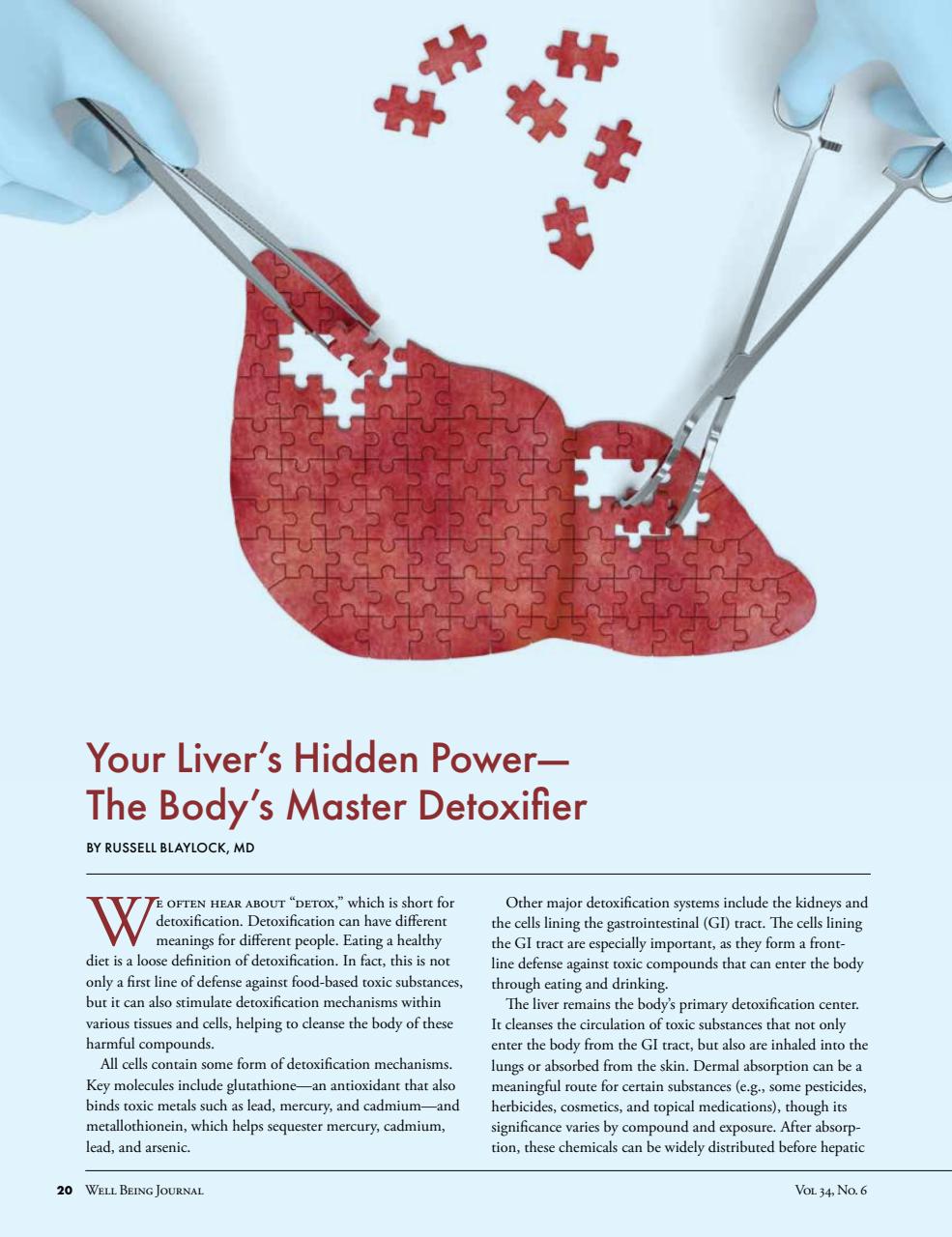 Well Being Journal Preview Pages