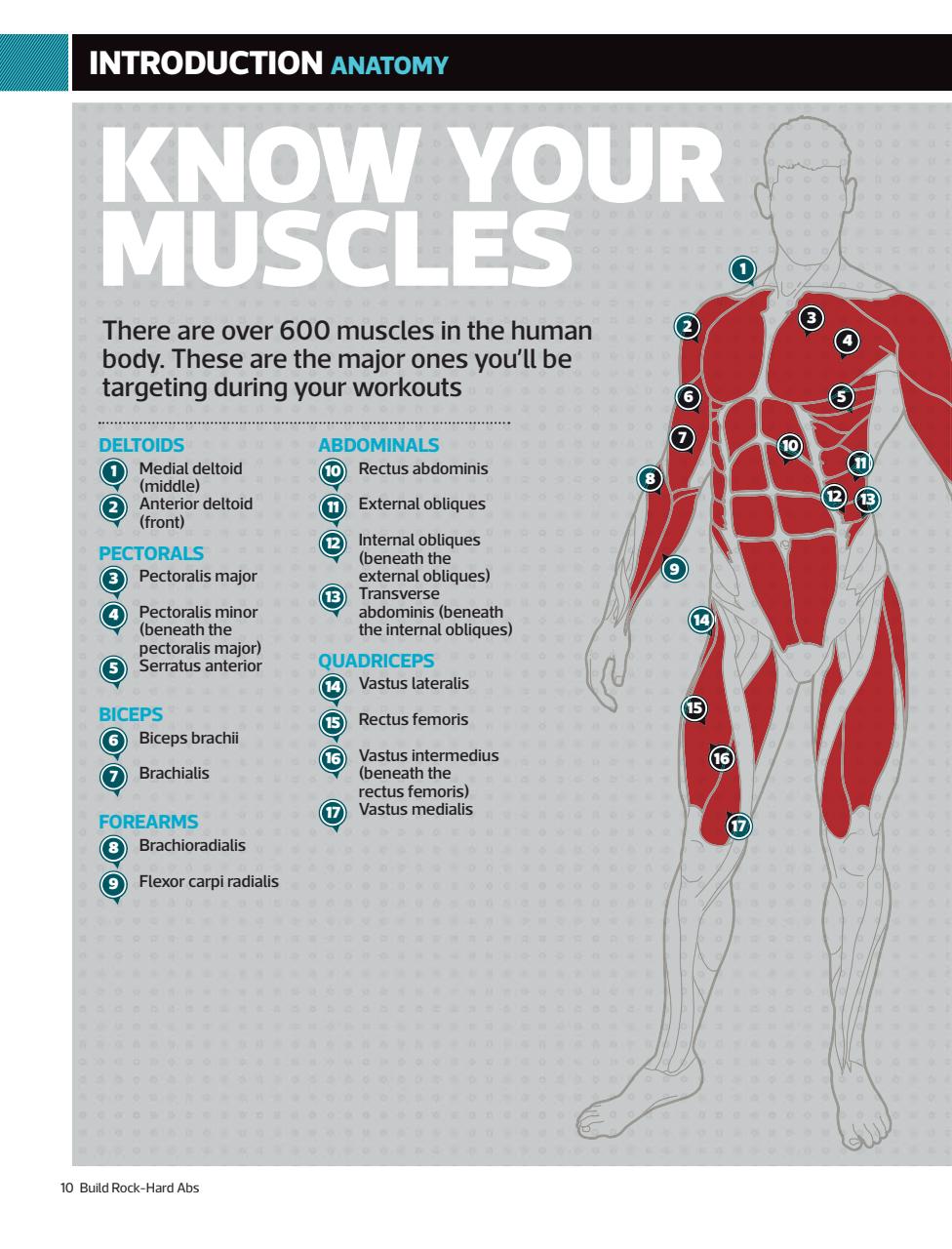 Men’s Fitness Guides Preview Pages