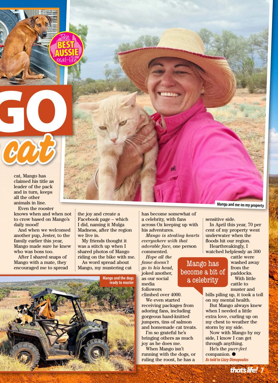 That’s Life! Preview Pages