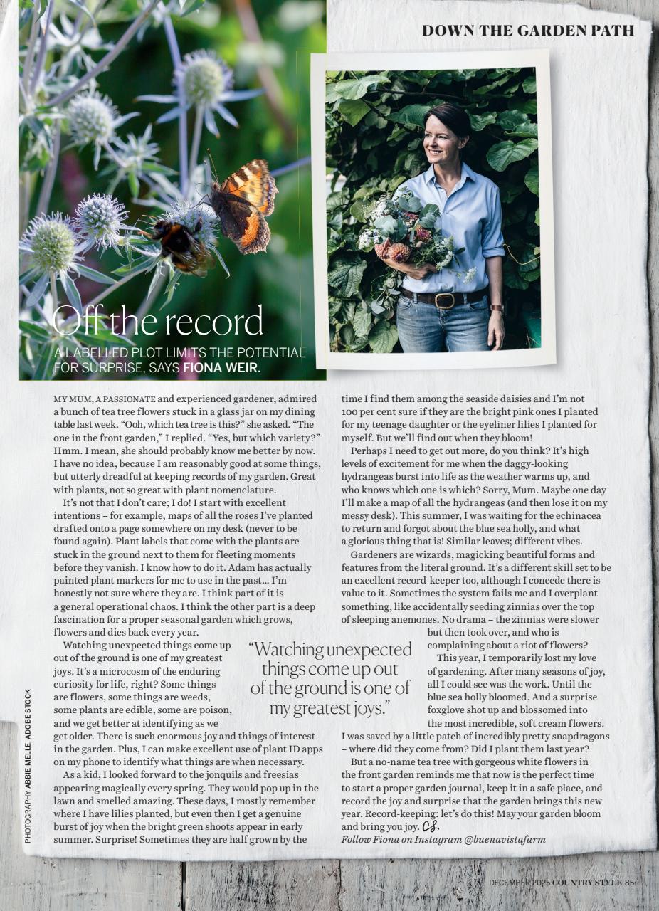 Country Style Preview Pages