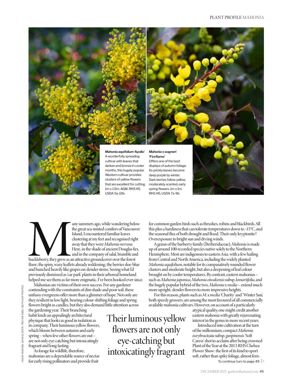 Gardens Illustrated Preview Pages