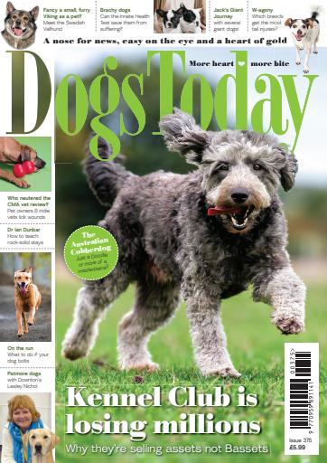 Dogs Today Magazine issue 