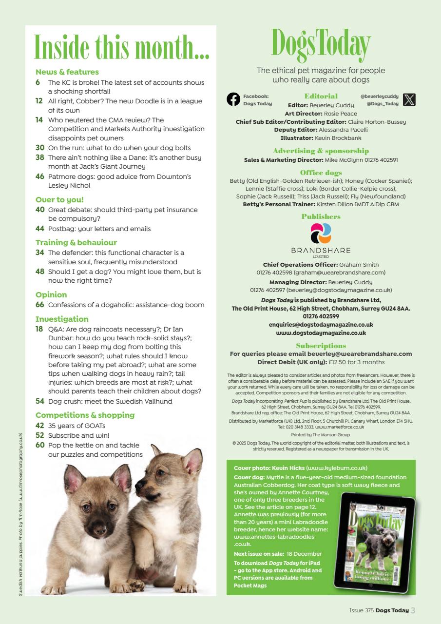 Dogs Today Magazine Preview Pages