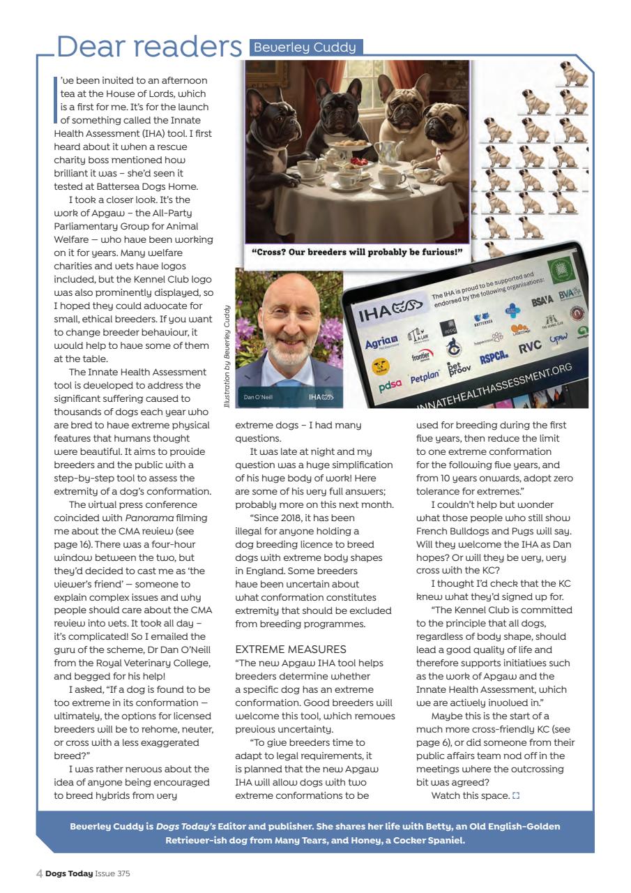 Dogs Today Magazine Preview Pages