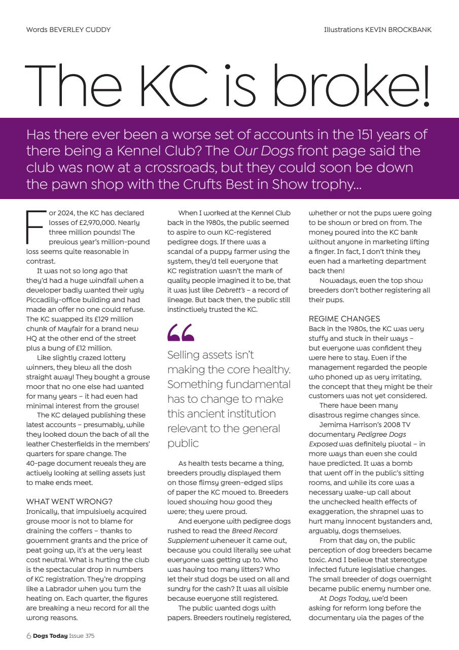 Dogs Today Magazine Preview Pages