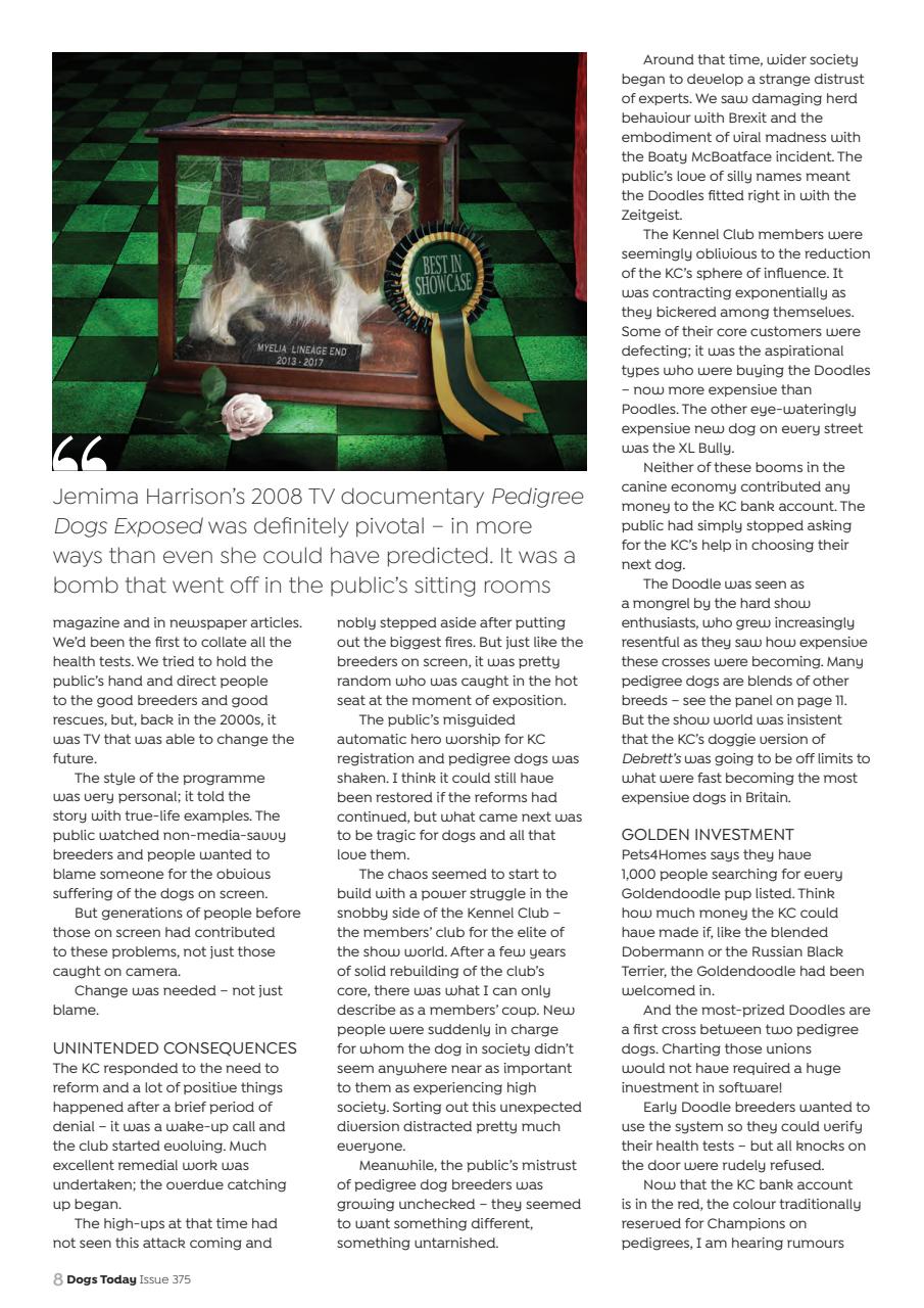 Dogs Today Magazine Preview Pages