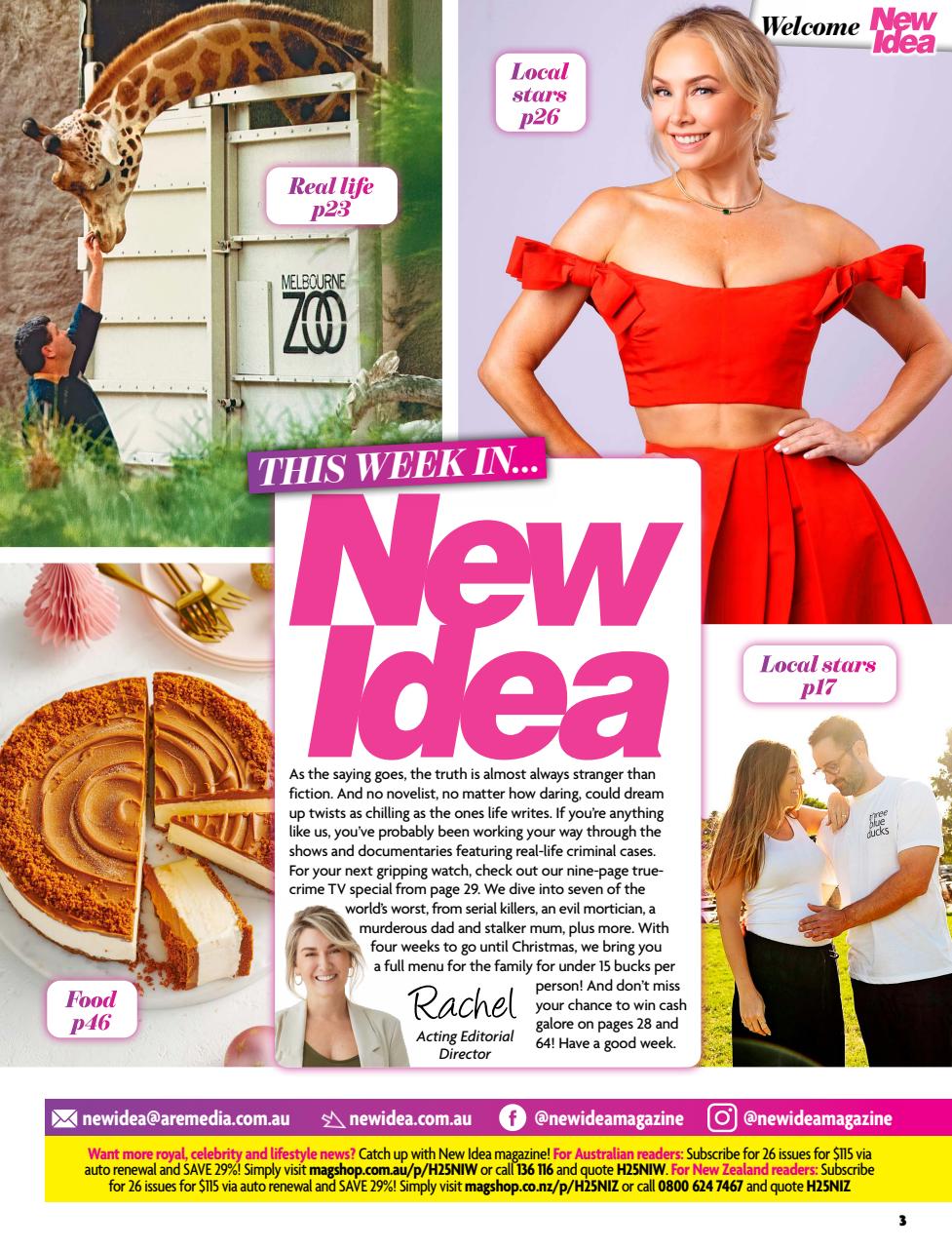 New Idea Preview Pages