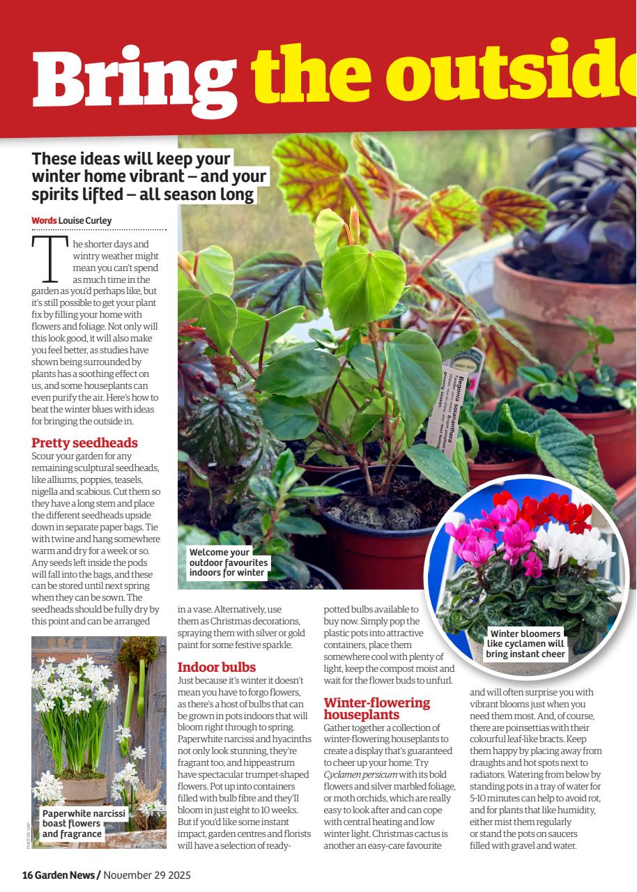 Garden News Preview Pages