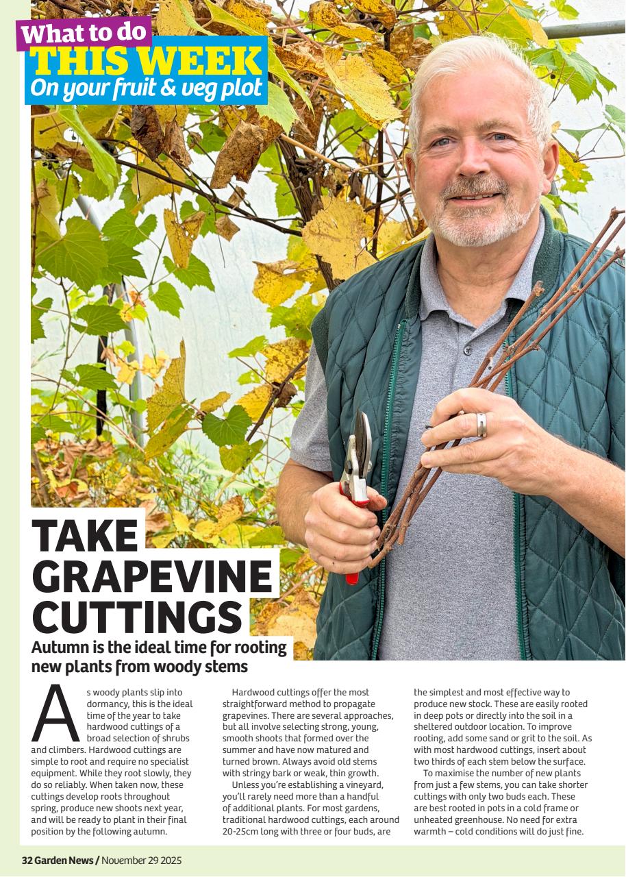 Garden News Preview Pages