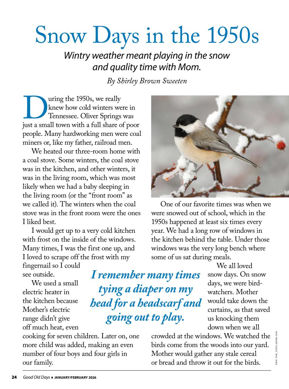 Good Old Days Preview Pages