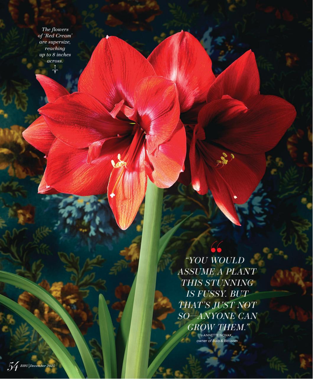 Better Homes & Gardens (US) Preview Pages