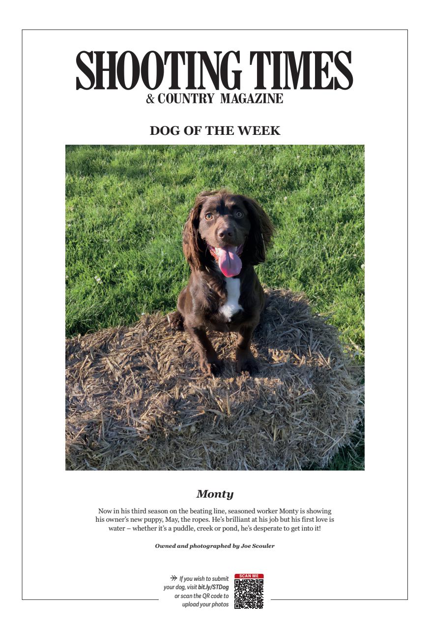 Shooting Times & Country Preview Pages