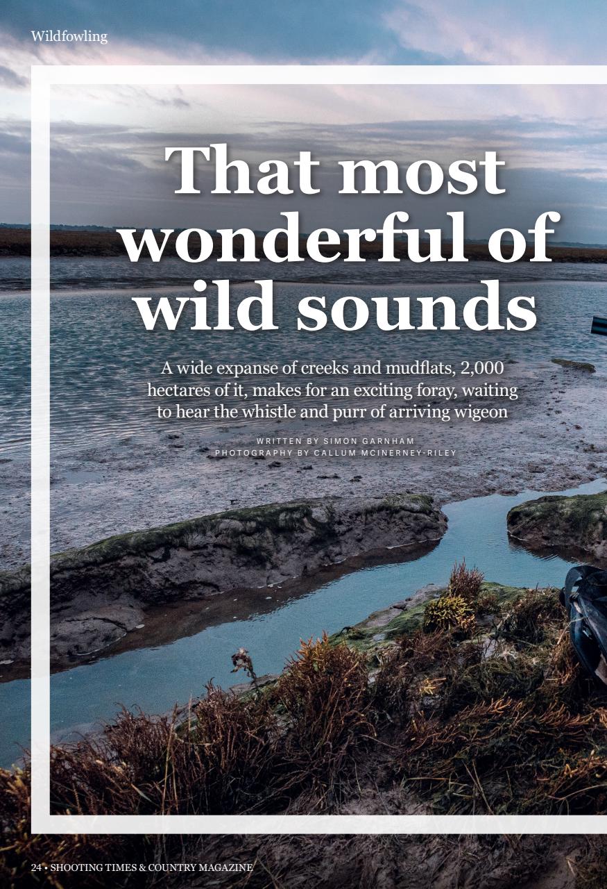 Shooting Times & Country Preview Pages