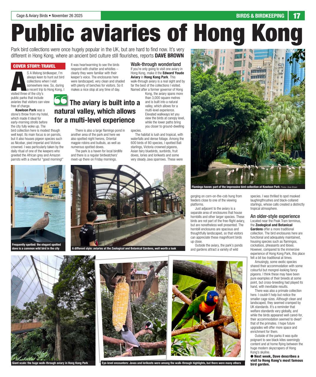 Cage & Aviary Birds Preview Pages