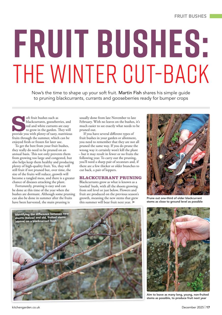 Kitchen Garden Magazine Preview Pages