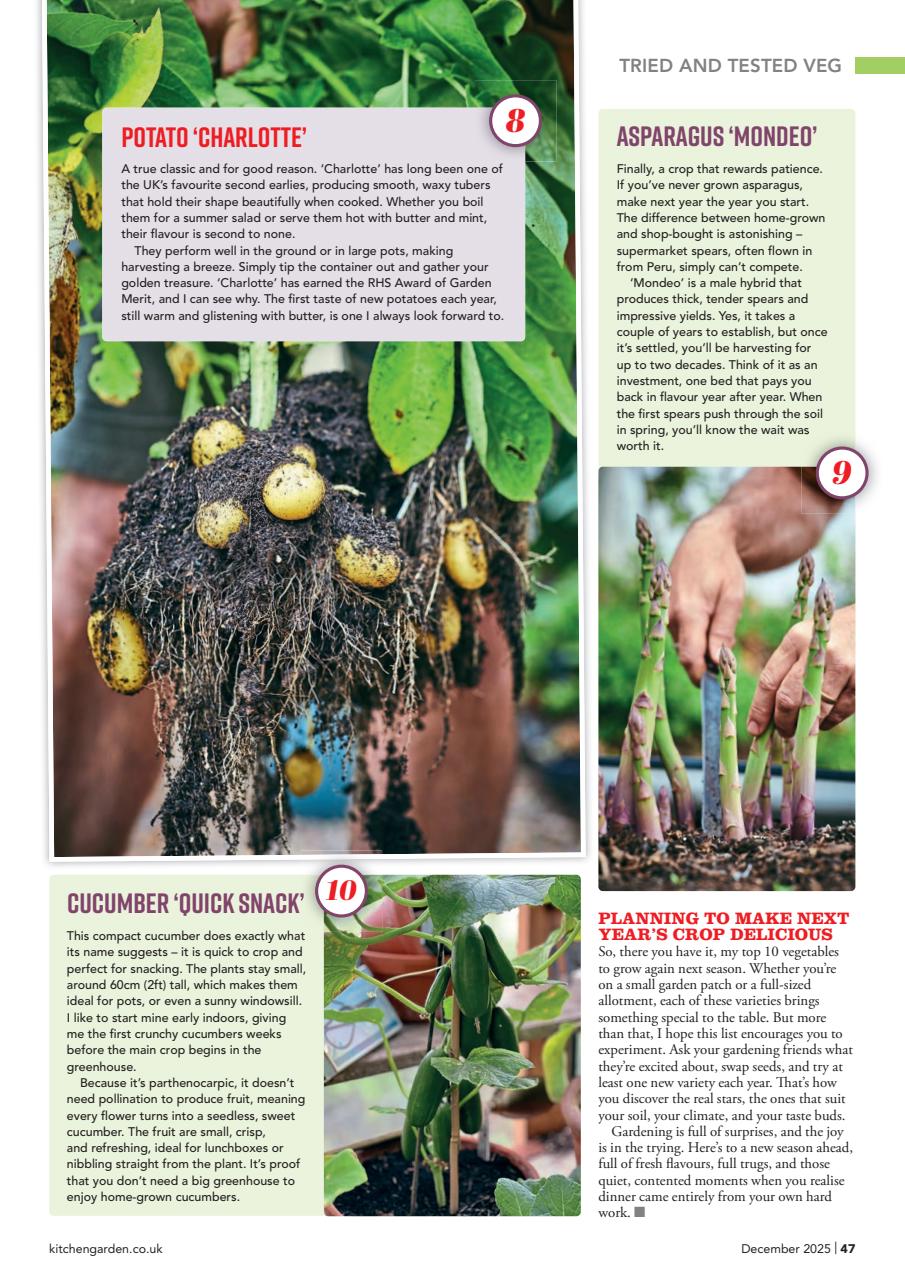 Kitchen Garden Magazine Preview Pages
