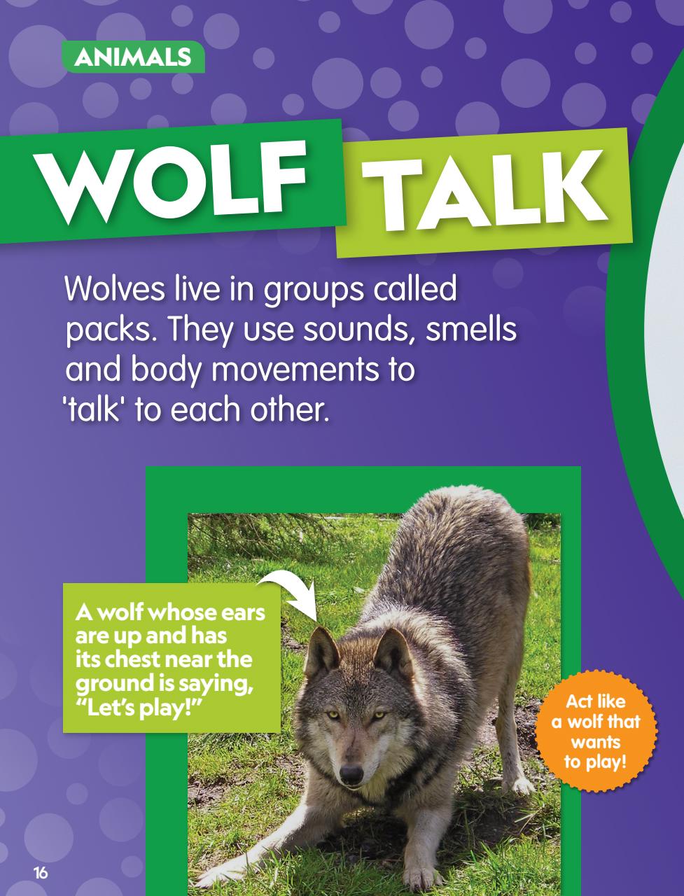 National Geographic Little Kids Preview Pages