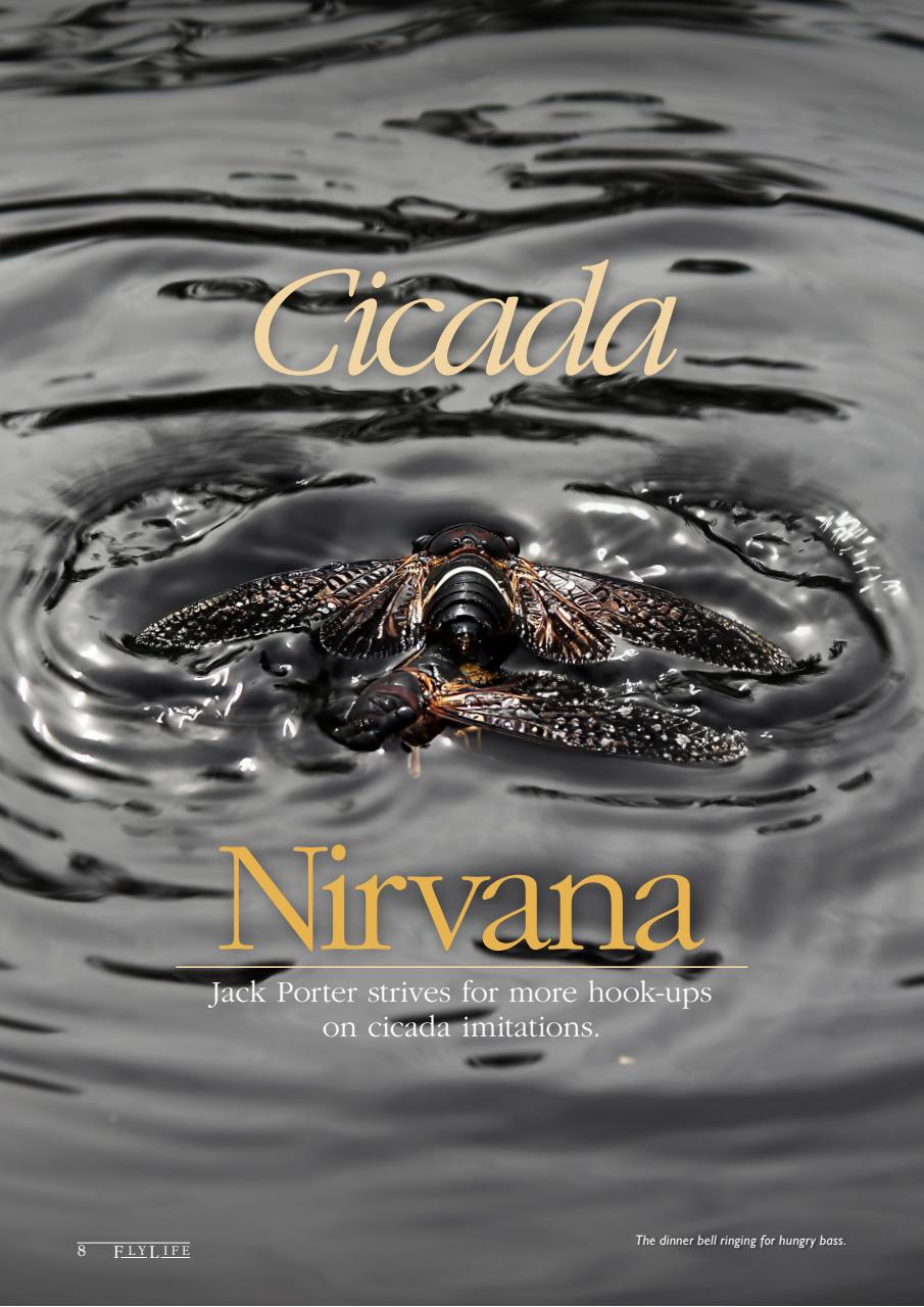 FlyLife Preview Pages