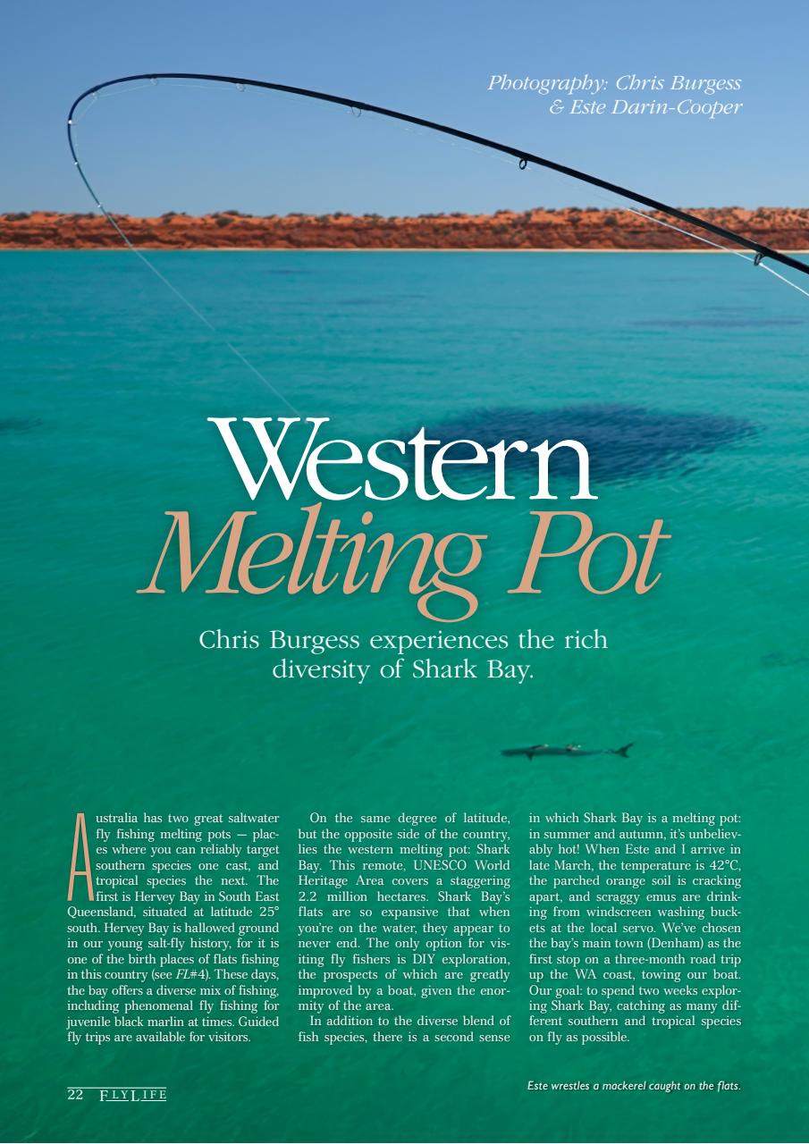 FlyLife Preview Pages