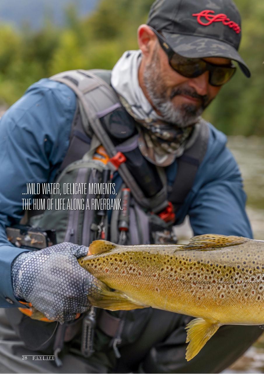 FlyLife Preview Pages