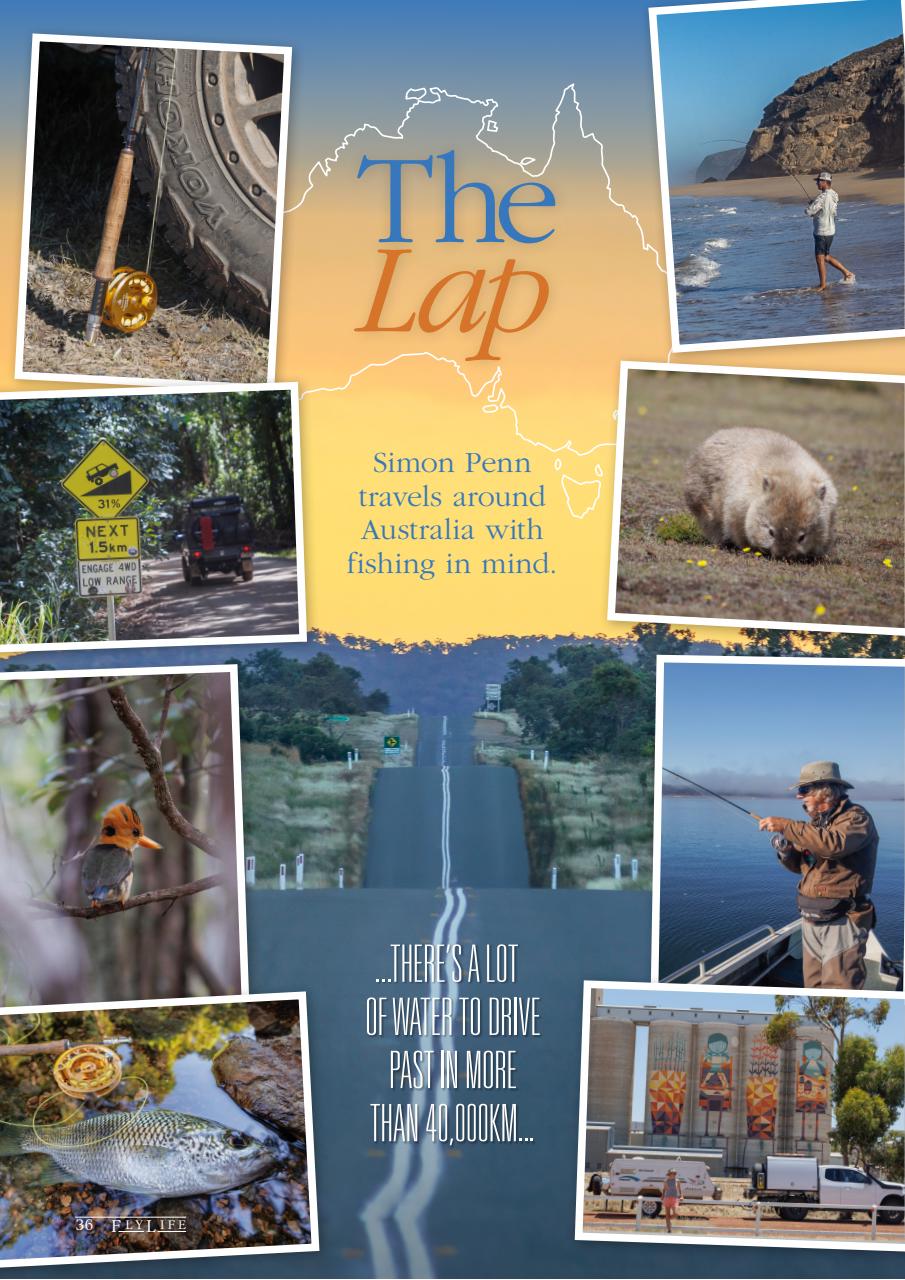 FlyLife Preview Pages