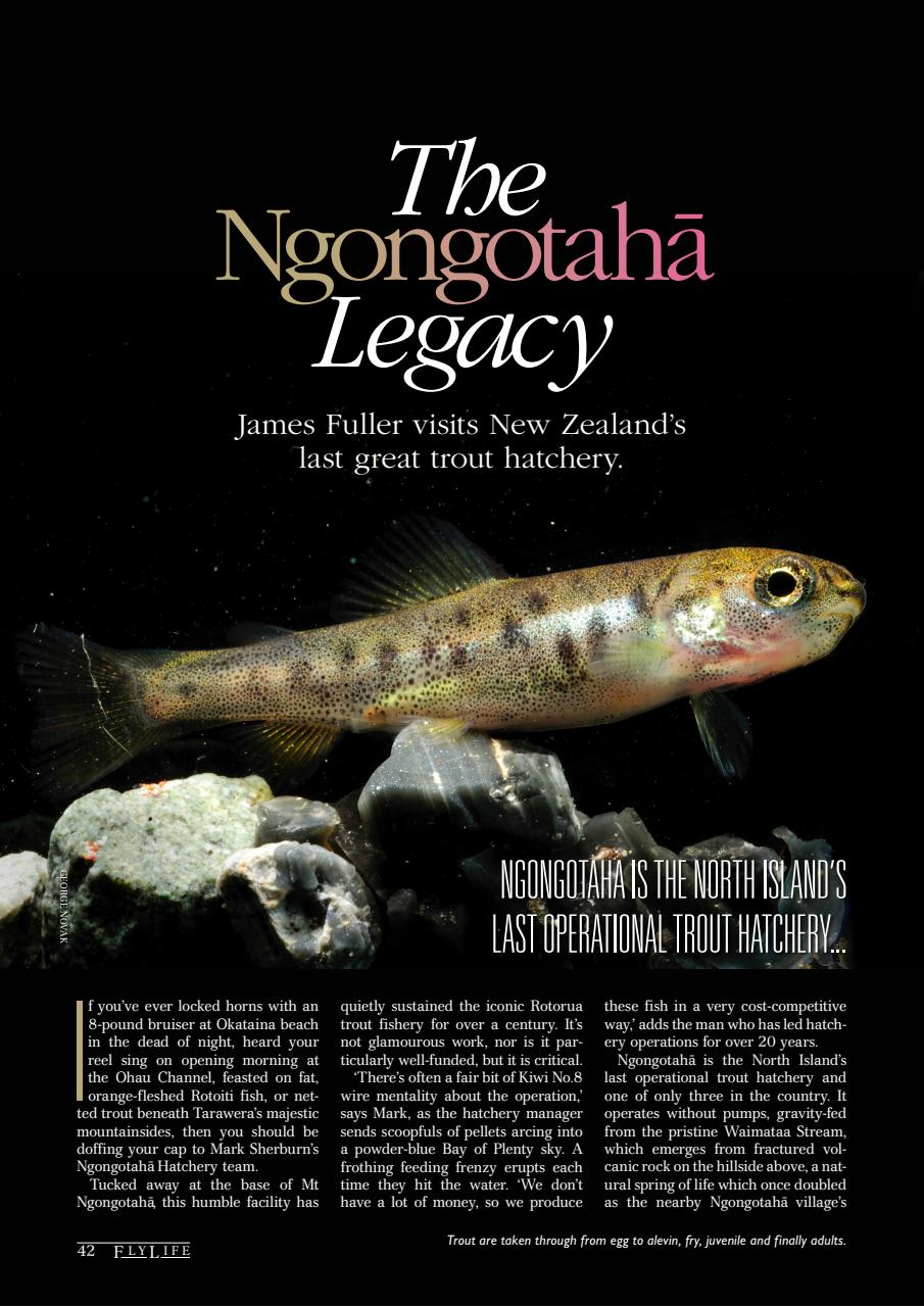 FlyLife Preview Pages