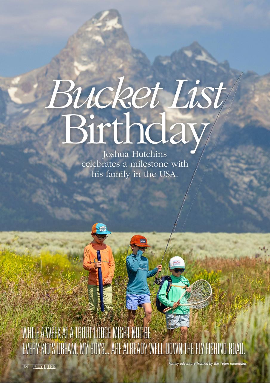 FlyLife Preview Pages