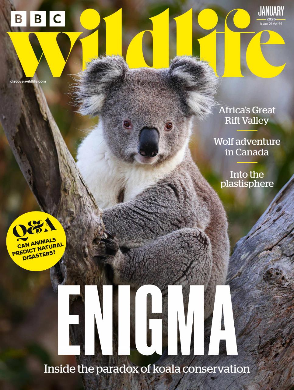 BBC Wildlife Magazine Preview Pages