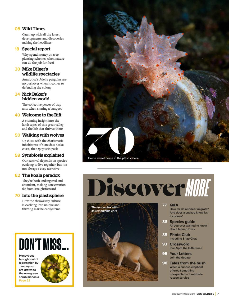 BBC Wildlife Magazine Preview Pages