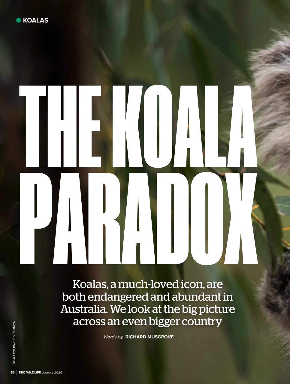 BBC Wildlife Magazine Preview Pages