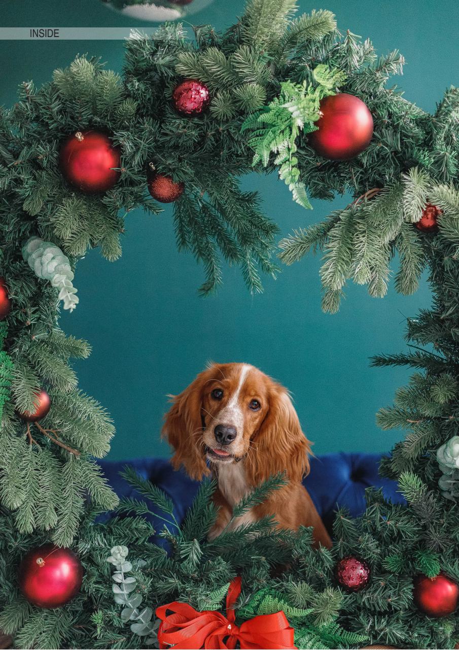 Edition Dog Preview Pages