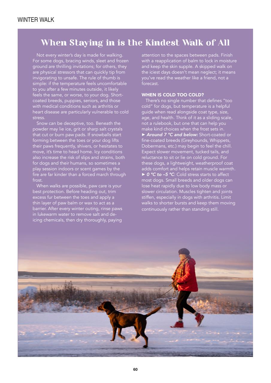 Edition Dog Preview Pages