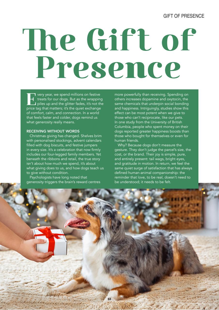 Edition Dog Preview Pages