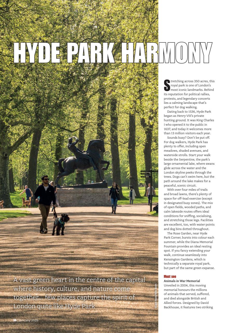 Your Dog Preview Pages