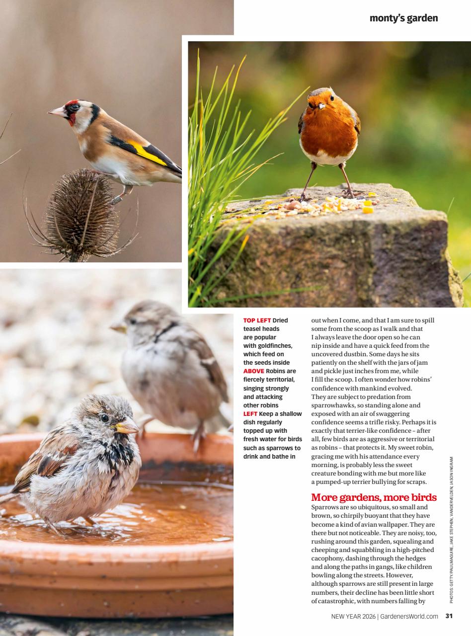 BBC Gardeners’ World Magazine Preview Pages