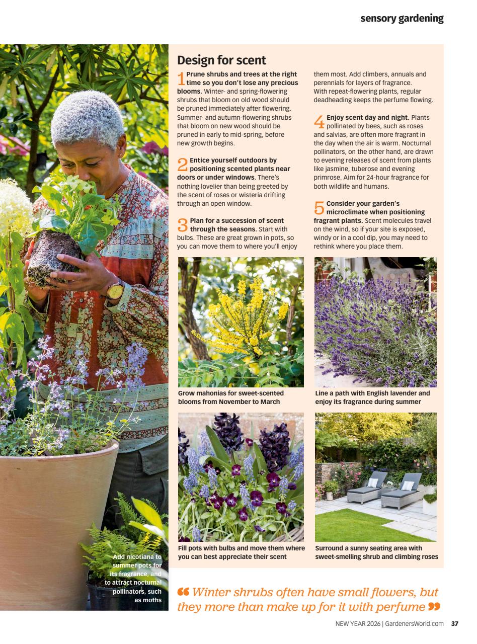 BBC Gardeners’ World Magazine Preview Pages