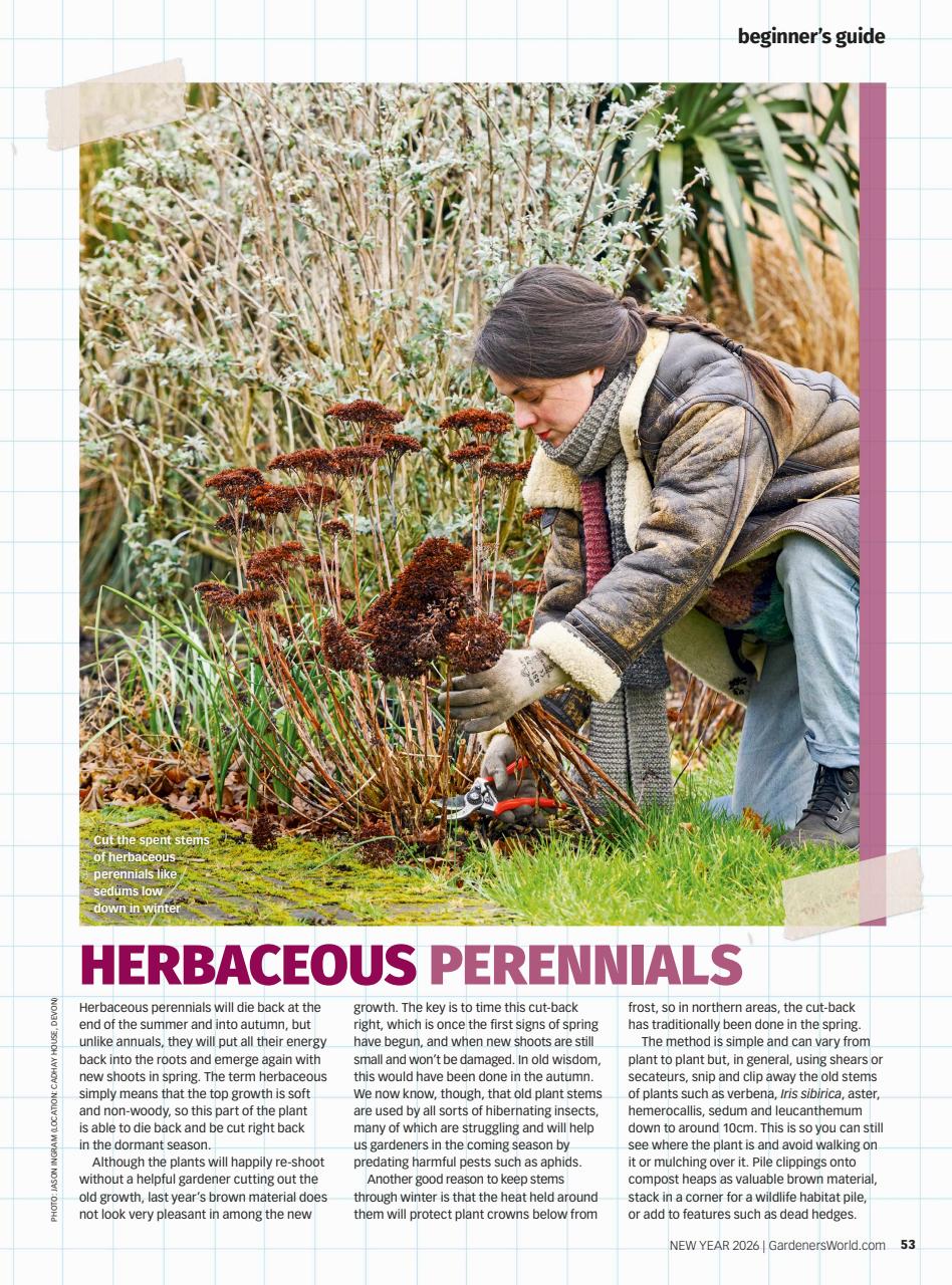 BBC Gardeners’ World Magazine Preview Pages