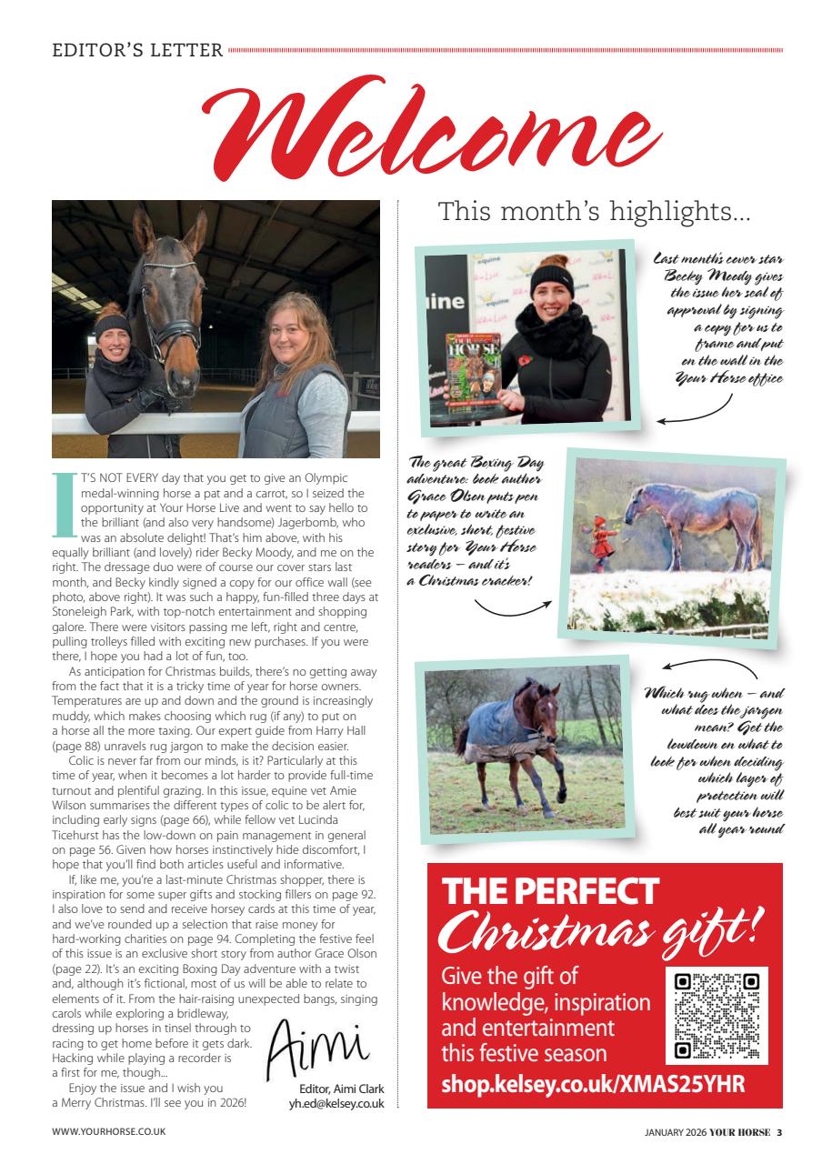 Your Horse Preview Pages