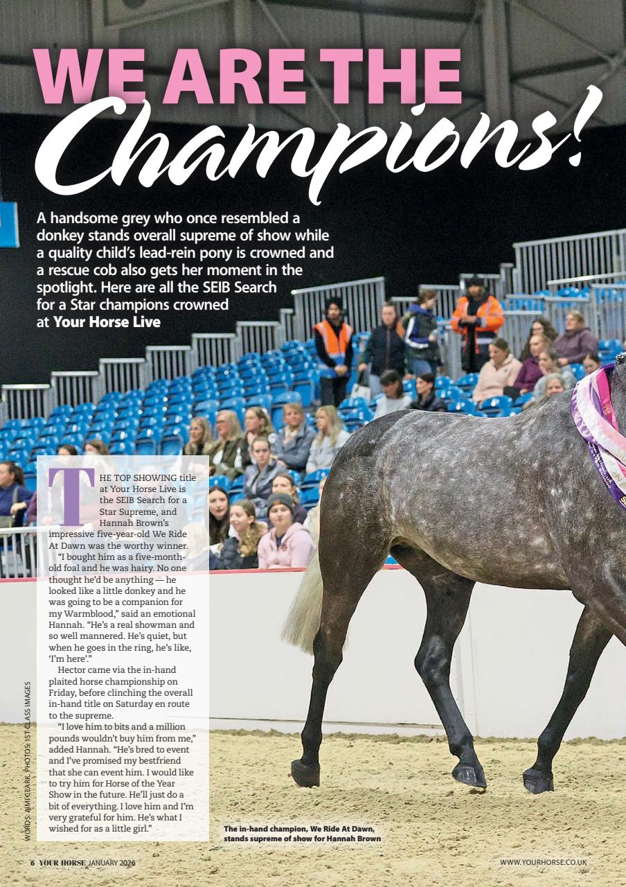 Your Horse Preview Pages