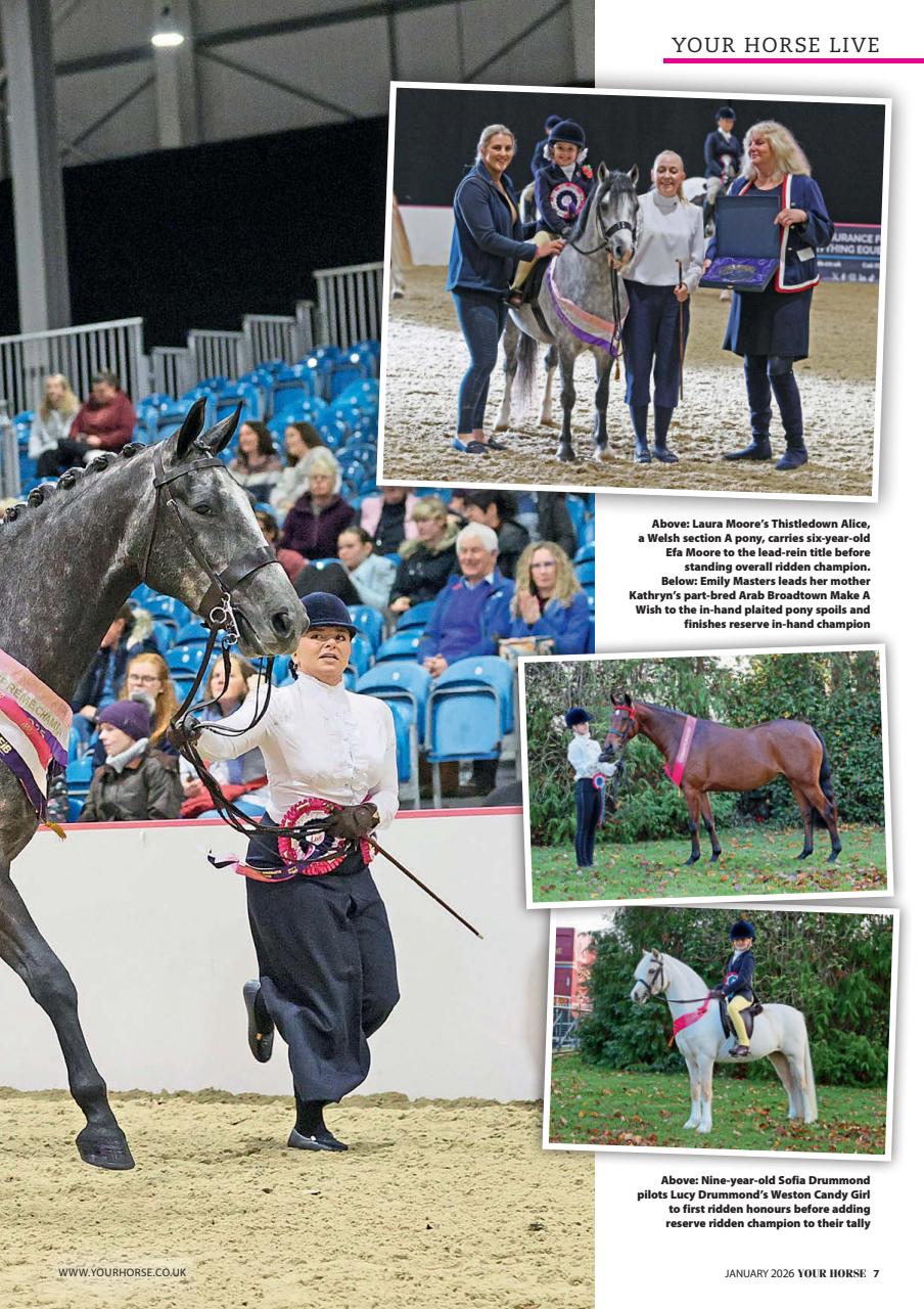 Your Horse Preview Pages