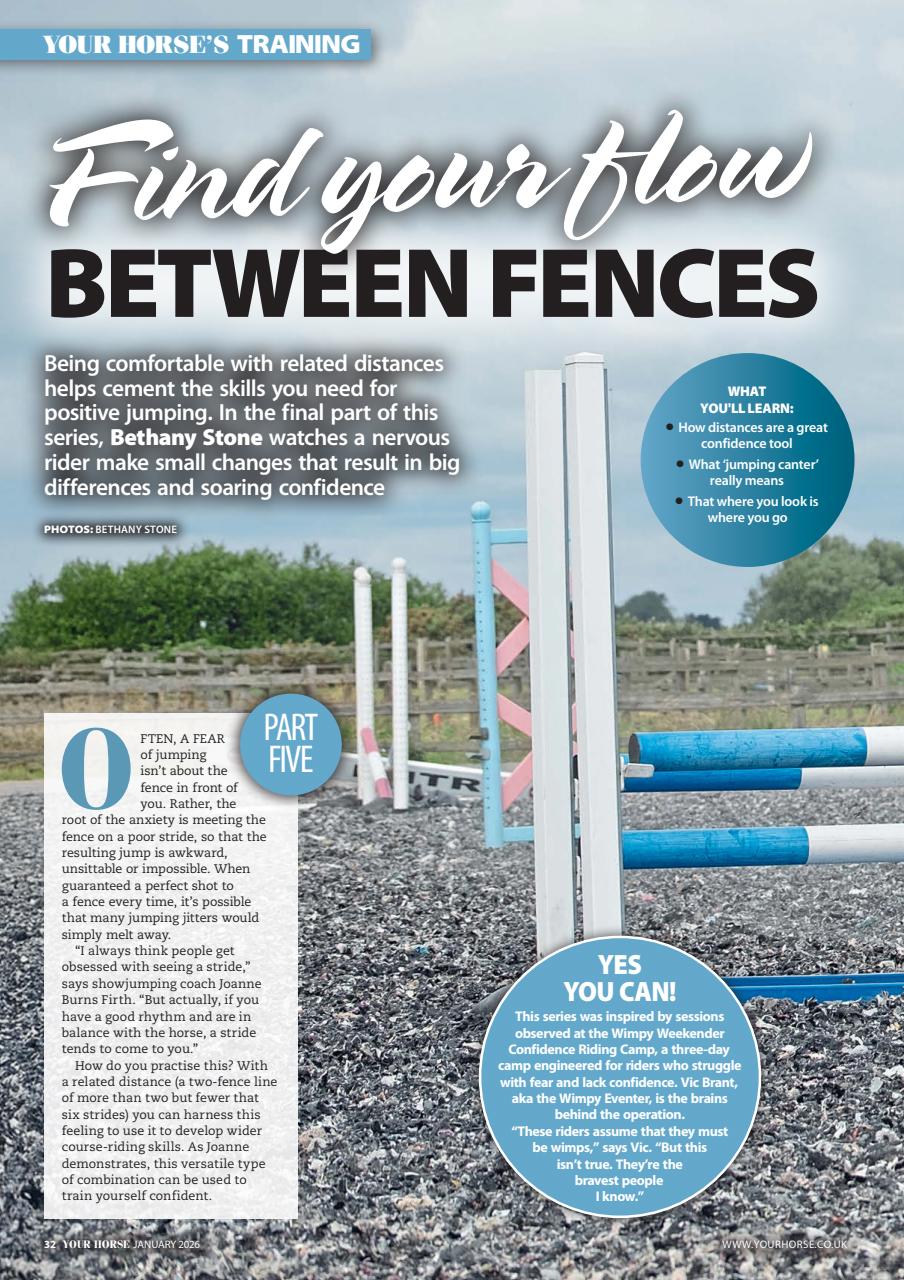 Your Horse Preview Pages