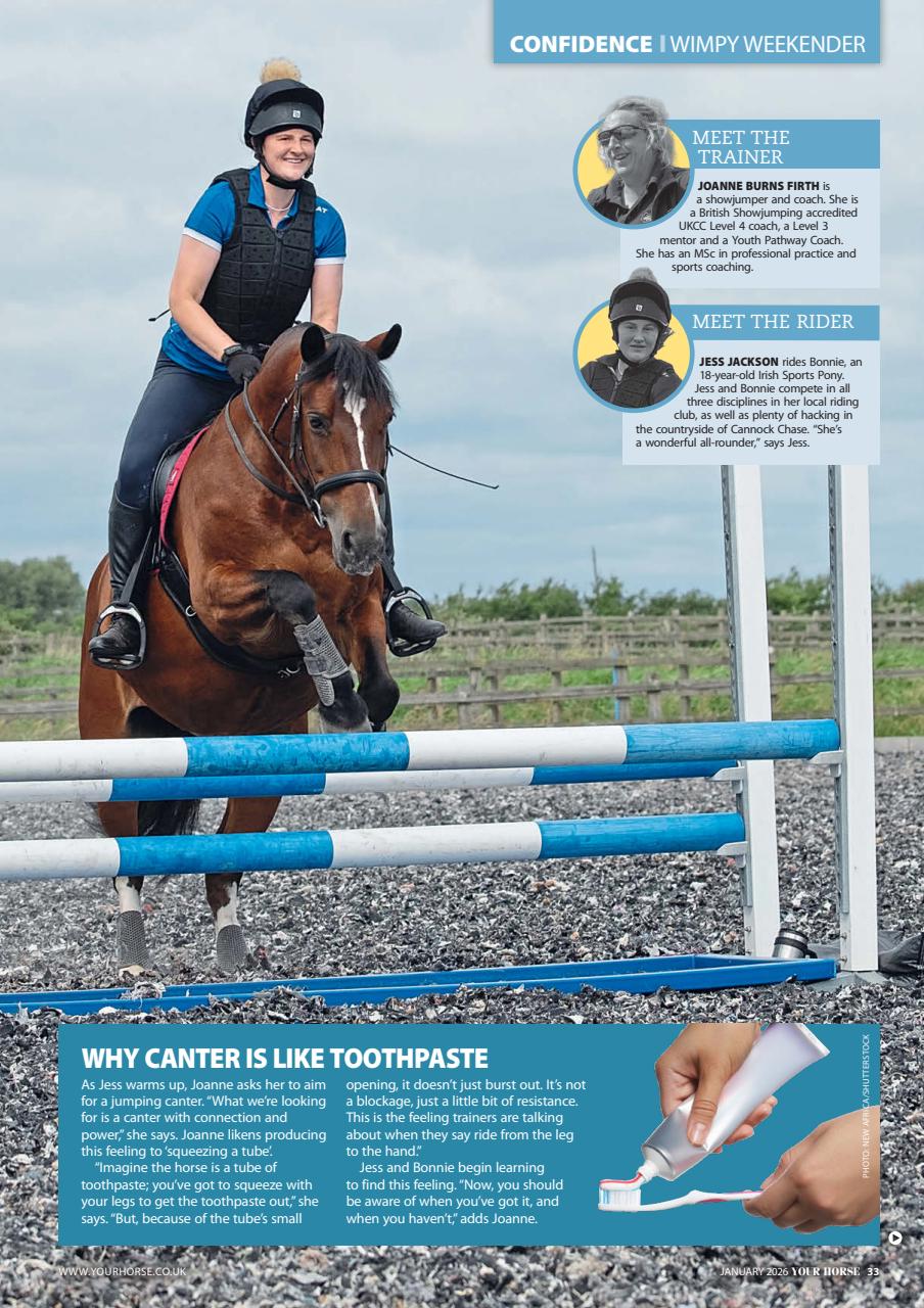 Your Horse Preview Pages