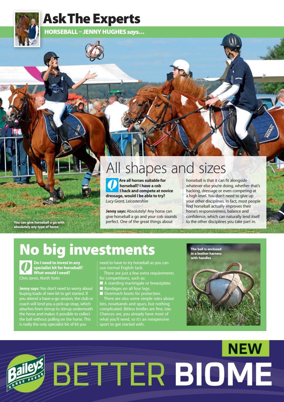 Your Horse Preview Pages