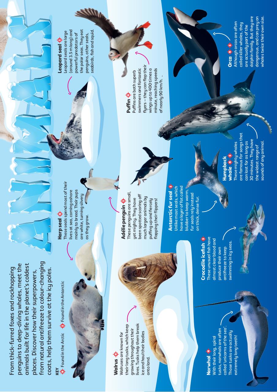 What on Earth! Magazine Preview Pages